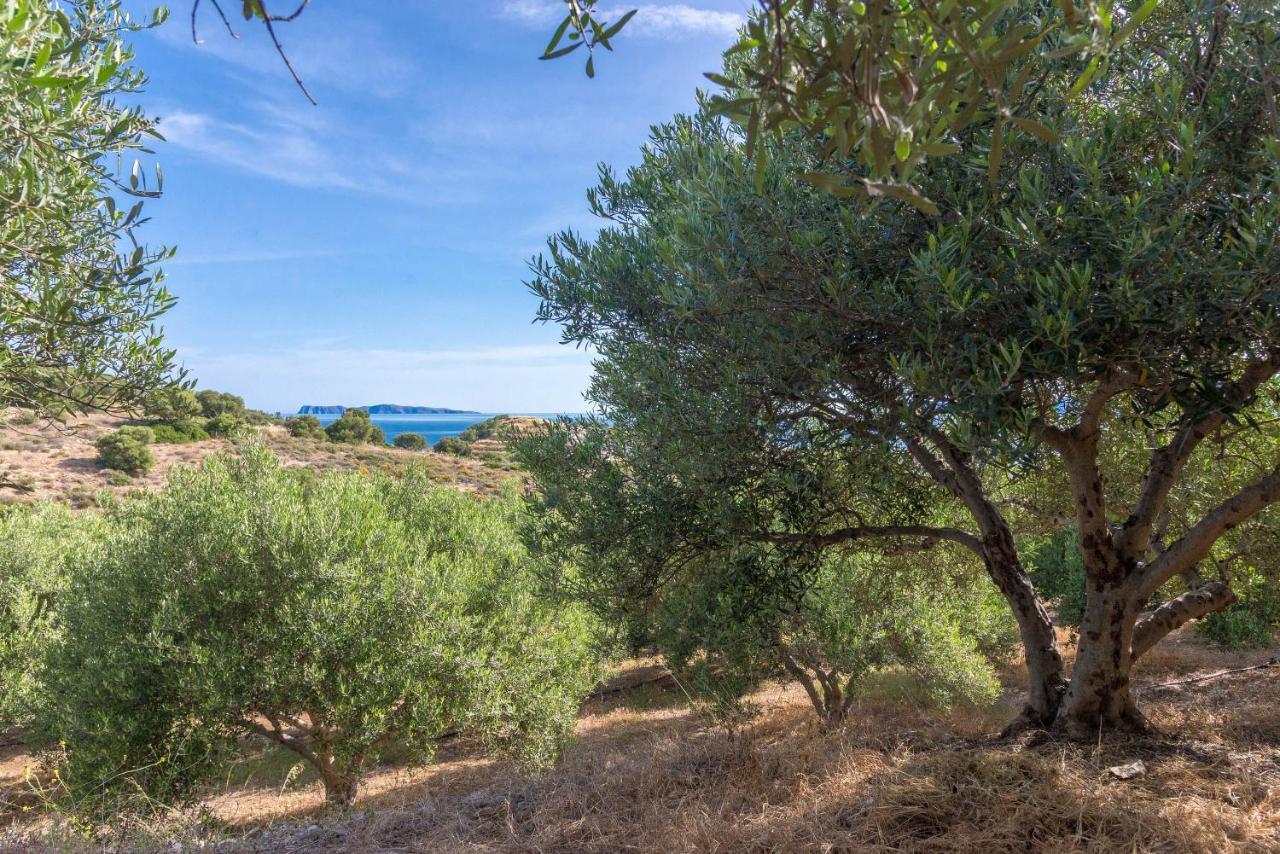 Villa Palma Sitia  Buitenkant foto